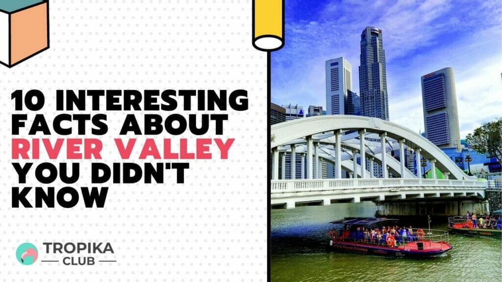 Interesting Facts about River Valley You Didn't Know