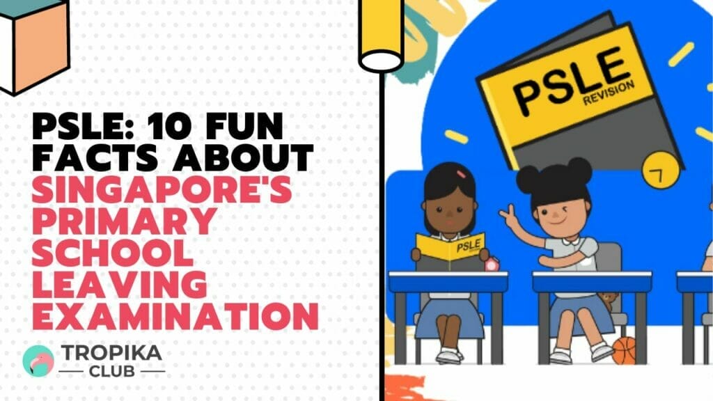 PSLE: 10 Fun Facts About Singapore's Primary School Leaving Examination