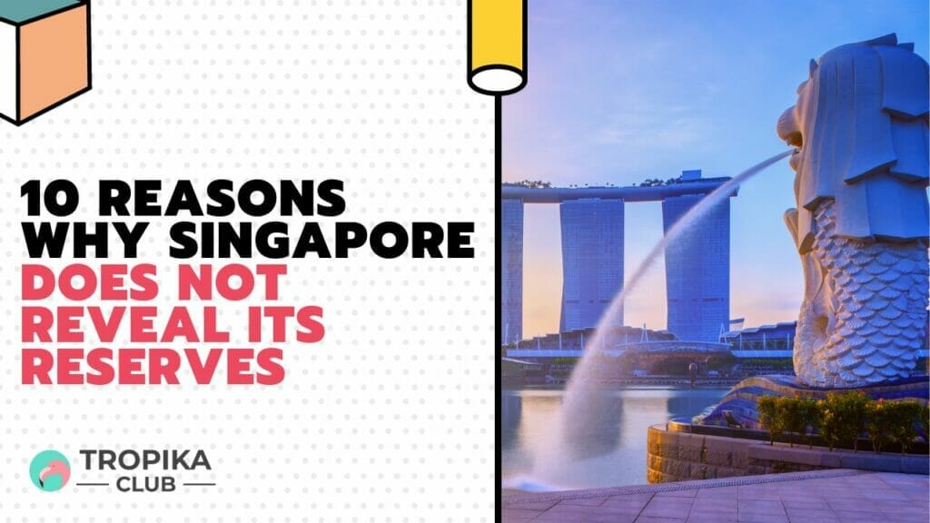 10 Reasons Why Singapore Does Not Reveal Its Reserves