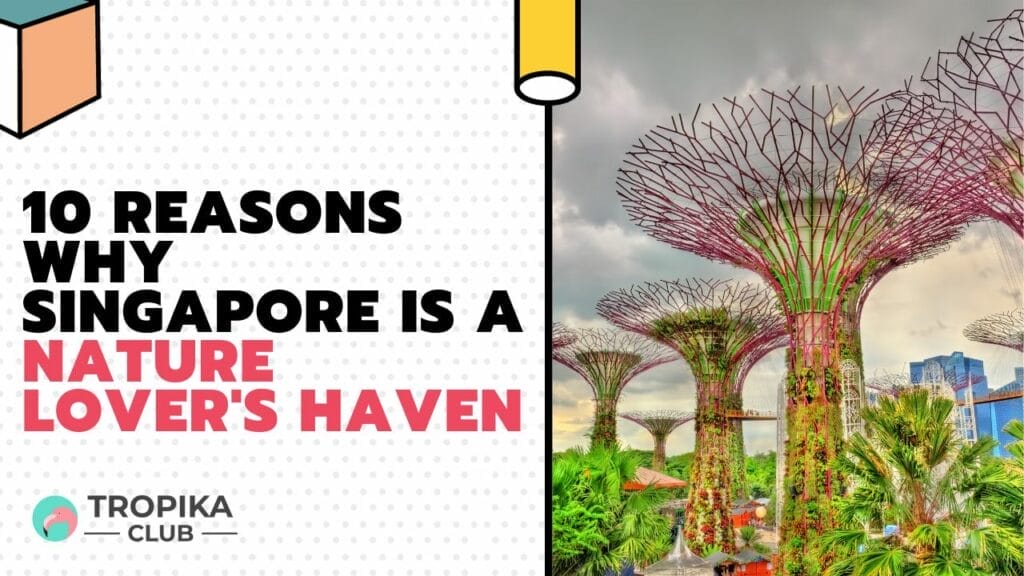 Reasons Why Singapore is a Nature Lover's Haven