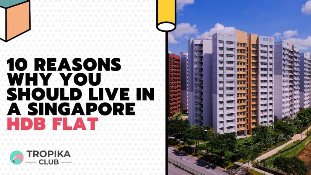 Reasons Why You Should Live in a Singapore HDB Flat