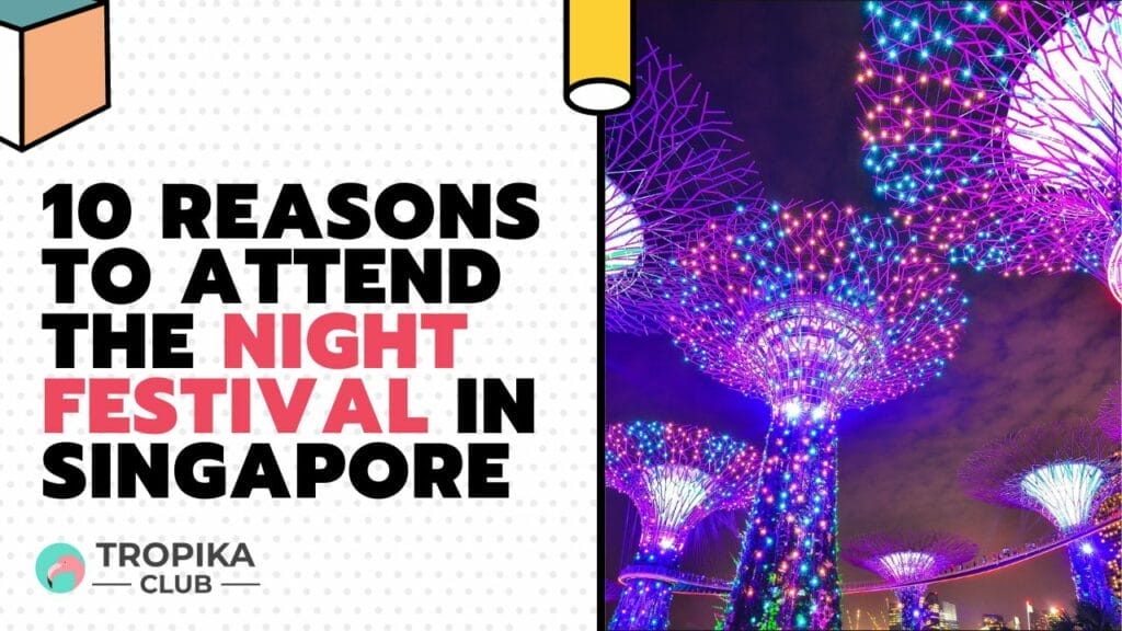 Reasons to Attend the Night Festival in Singapore