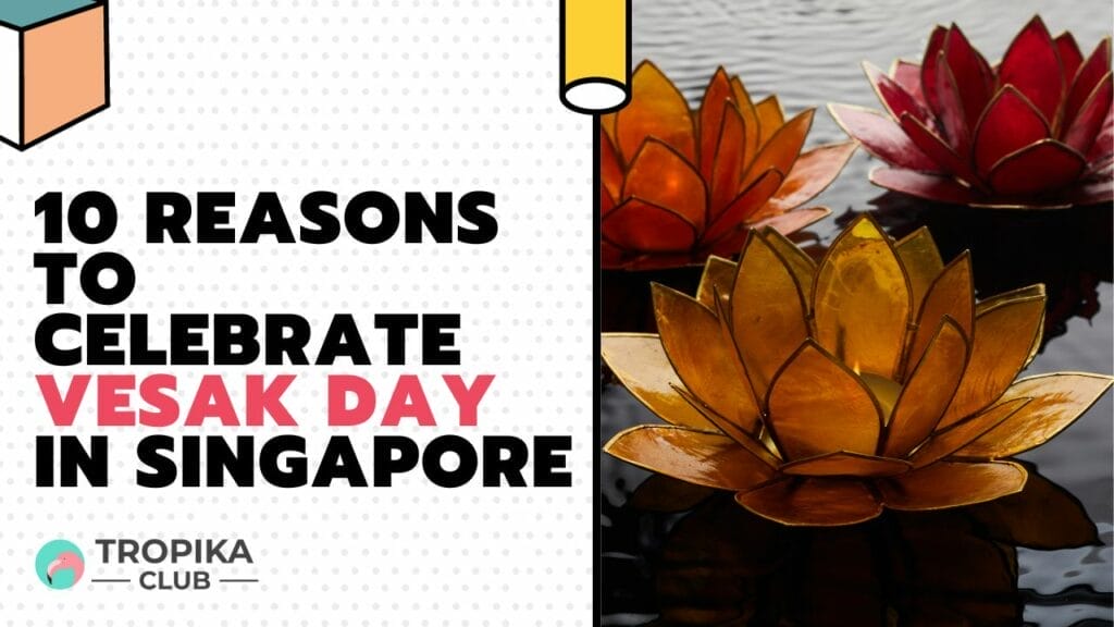 Reasons to Celebrate Vesak Day in Singapore 