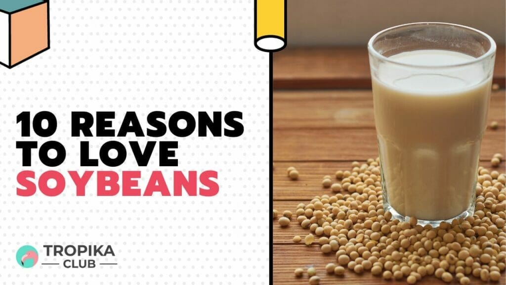 Reasons to Love Soybeans