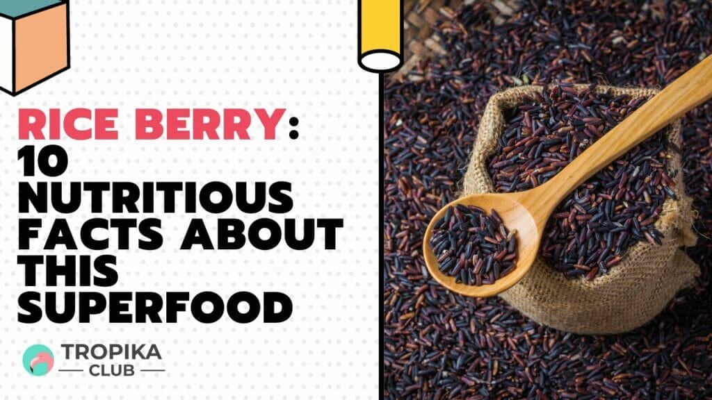 Rice Berry Nutritious Facts about this Superfood
