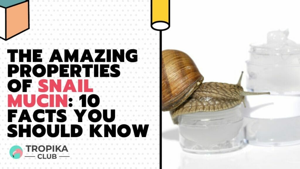 The Amazing Properties of Snail Mucin: 10 Facts You Should Know