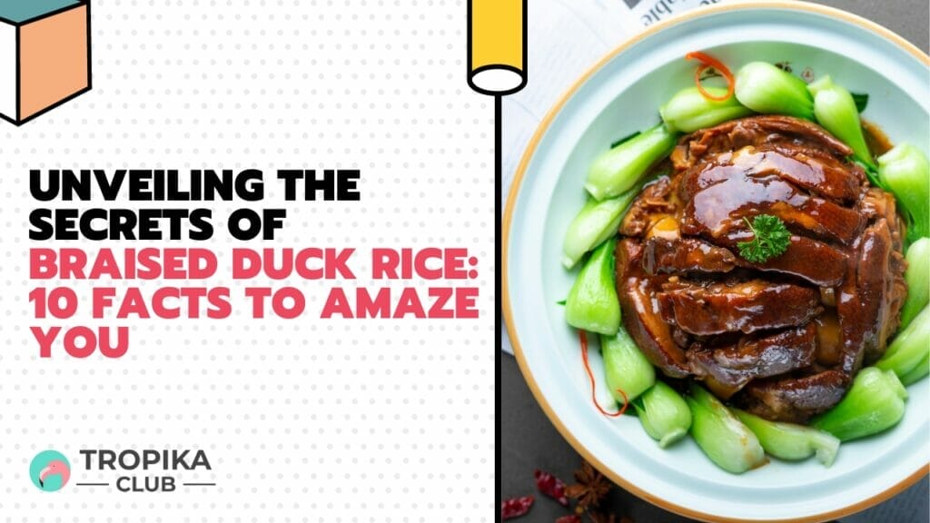 Unveiling the Secrets of Braised Duck Rice: 10 Facts to Amaze You