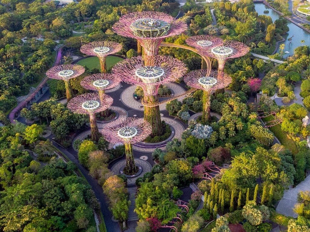 10 Facts That Explore the Unique Flora and Fauna of Gardens by the Bay