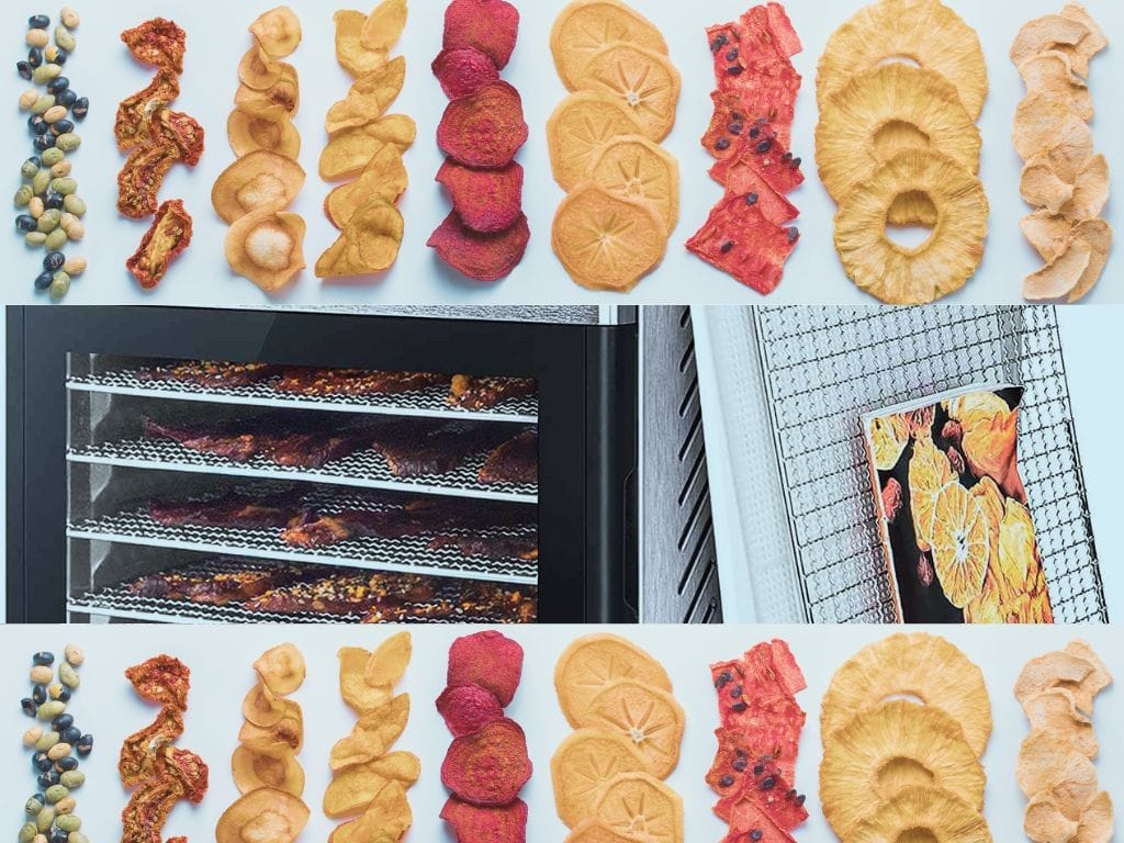 10 Facts about Food dehydrators that You Didn't Know