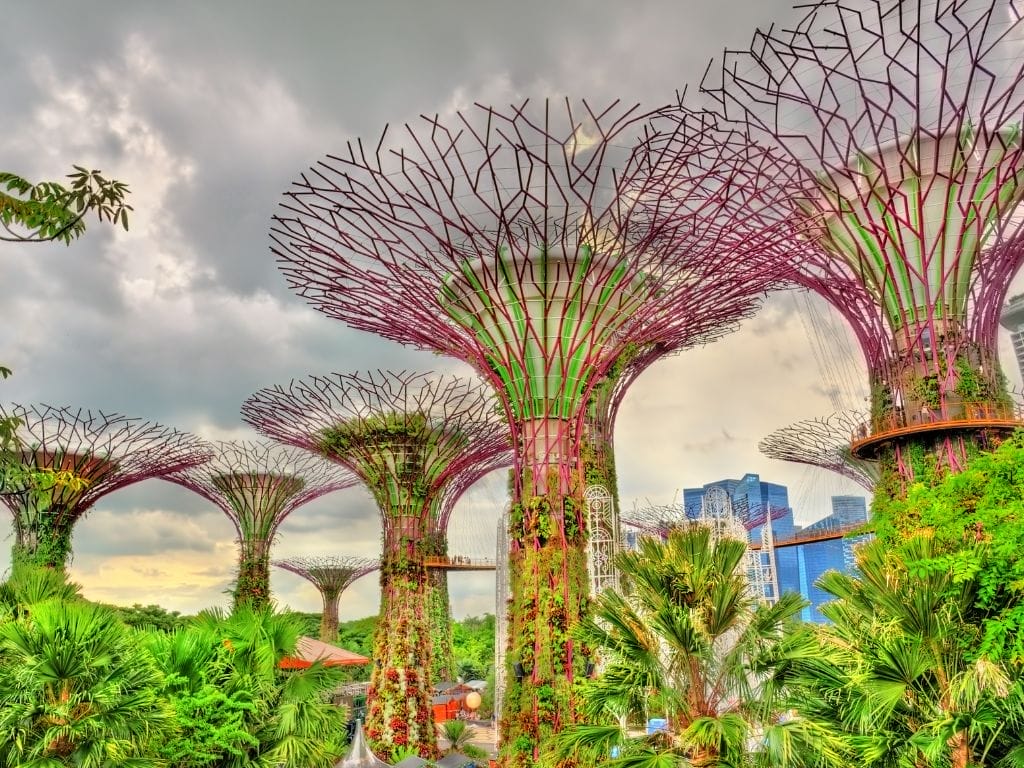 10 Reasons Why Singapore Is A Nature Lover's Haven