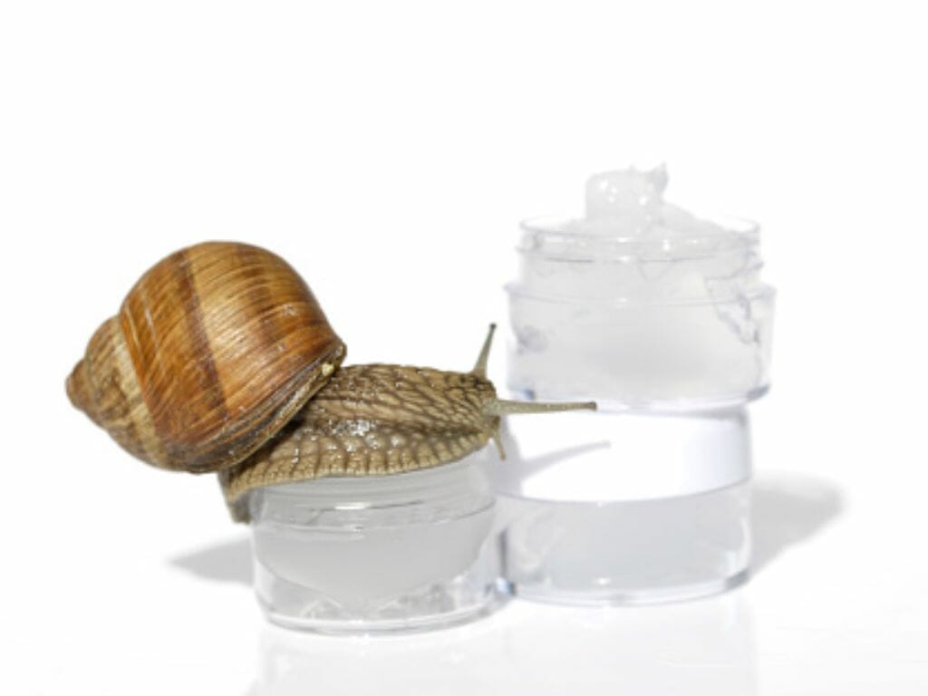 The Amazing Properties of Snail Mucin: 10 Facts You Should Know
