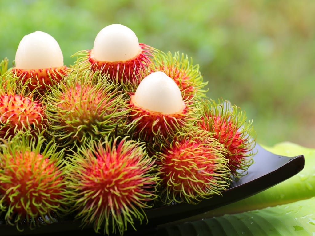 10 Interesting Facts about Rambutan
