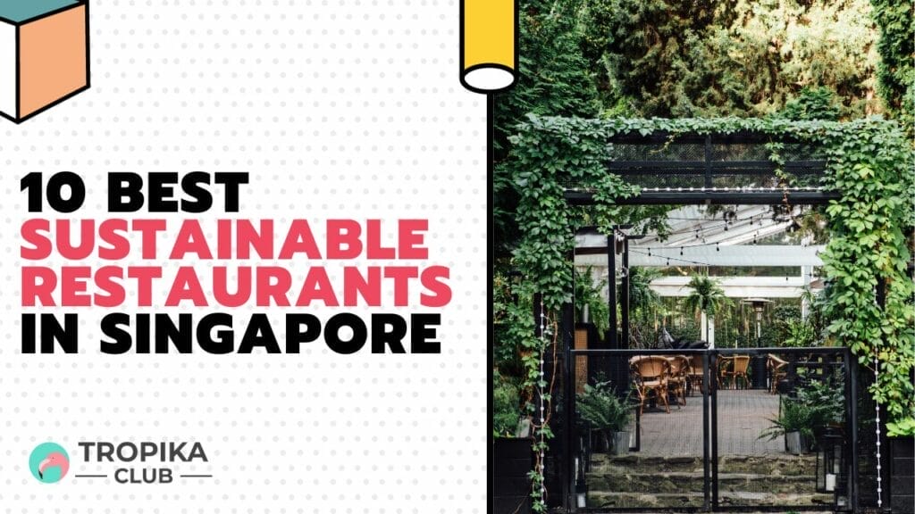 10 Best Sustainable Restaurants in Singapore