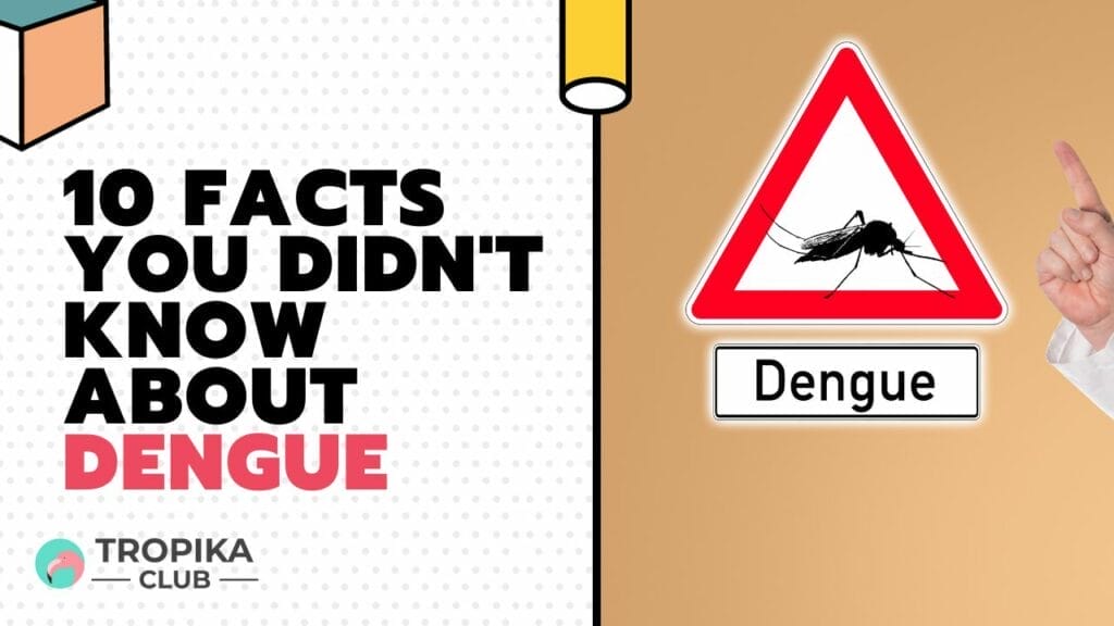 10 Facts You Didn't Know about Dengue