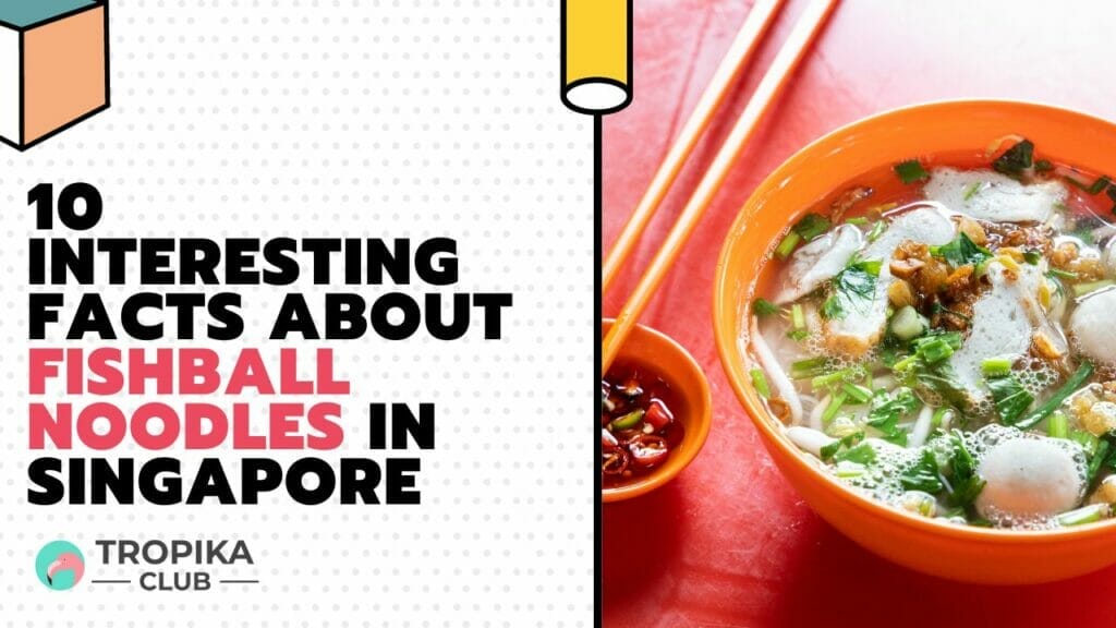 10 Interesting Facts about Fishball Noodles in Singapore