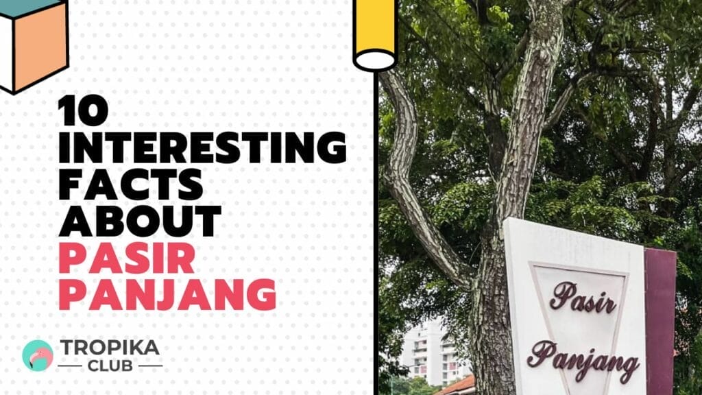 10 Interesting Facts about Pasir Panjang