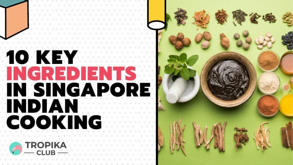 10 Key Ingredients in Singapore Indian Cooking