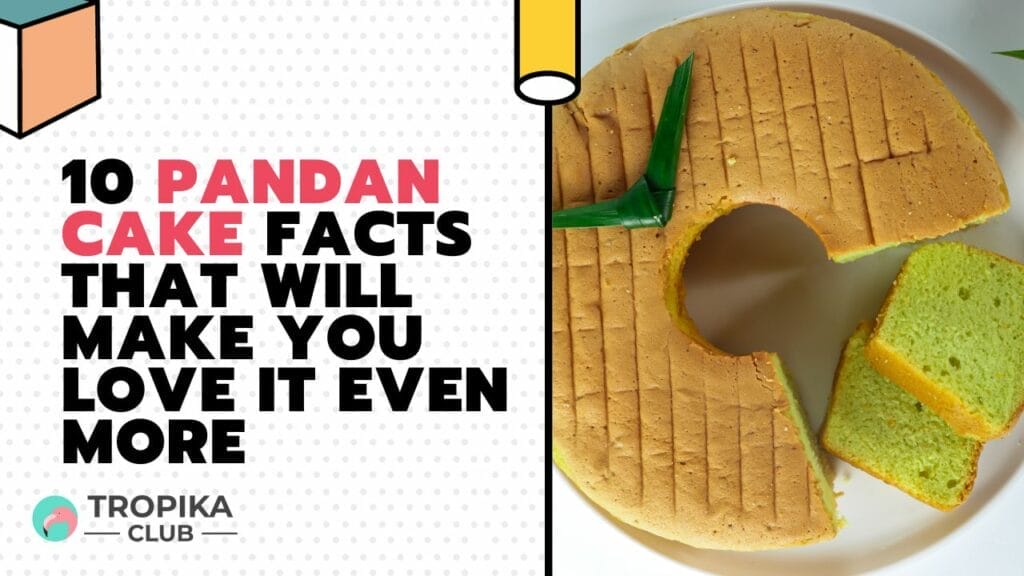 10 Pandan Cake Facts that will Make You Love it Even More