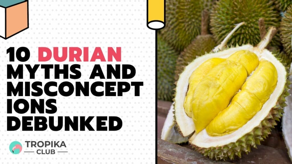 Durian Myths and Misconceptions Debunked