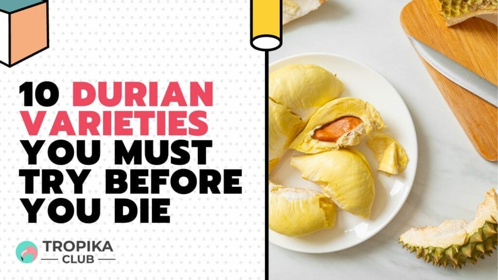 Durian Varieties You Must Try Before You Die