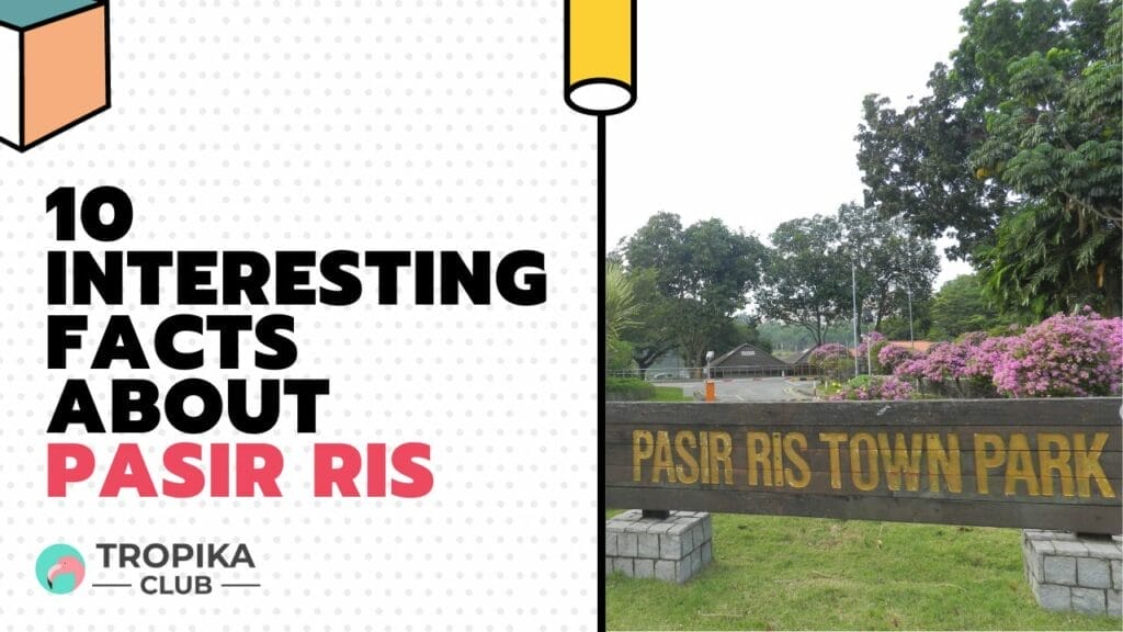 Interesting Facts about Pasir Ris