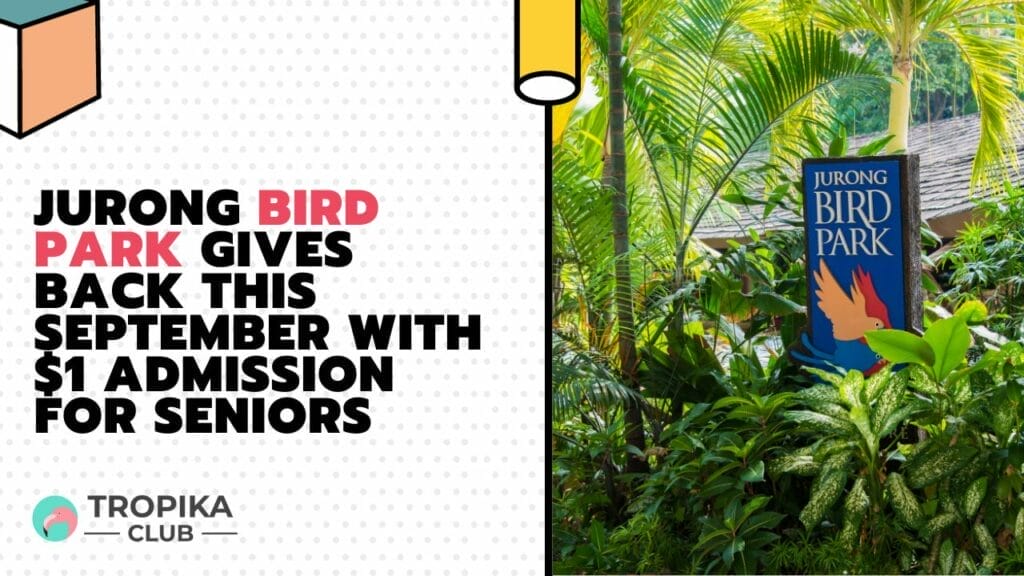 Jurong Bird Park Gives Back This September with $1 Admission for Seniors