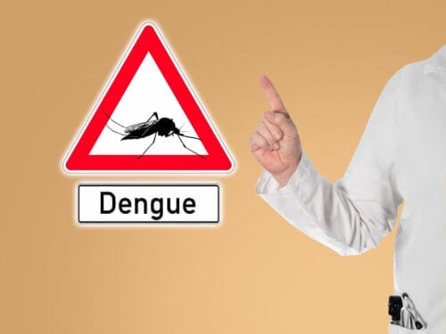 10 Facts You Didn't Know about Dengue
