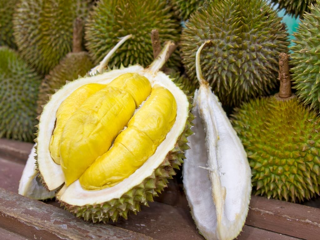 Durian Myths and Misconceptions Debunked