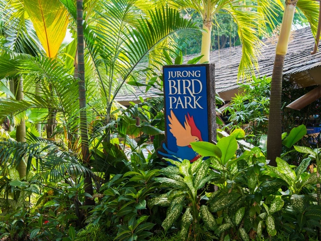 Jurong Bird Park Gives Back This September with $1 Admission for Seniors