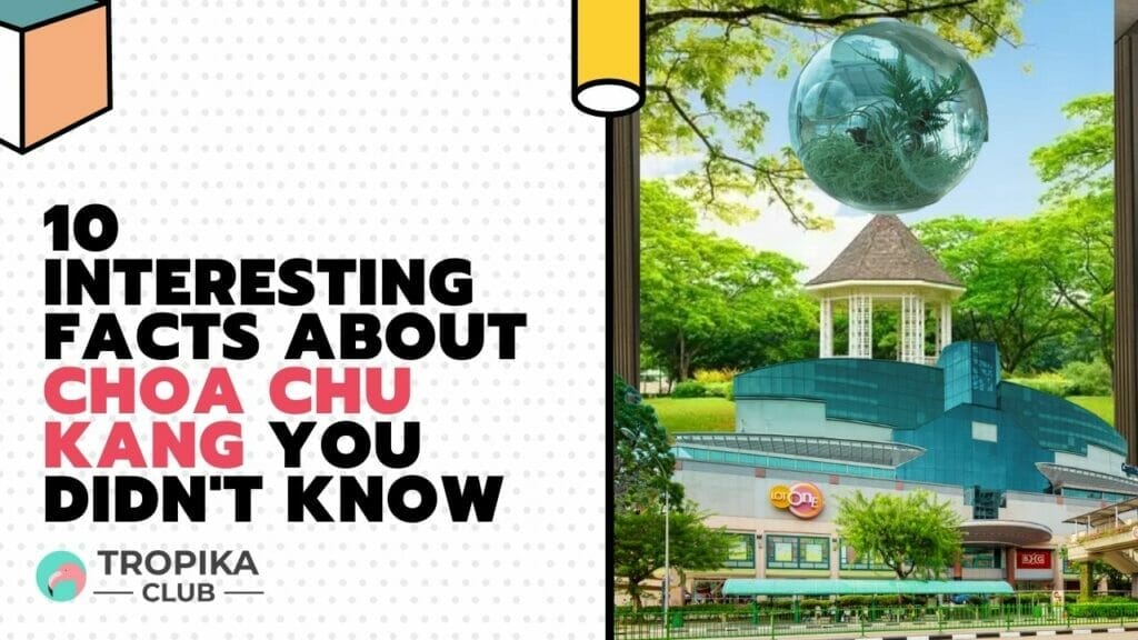 10 Interesting Facts about Choa Chu Kang You Didn't Know