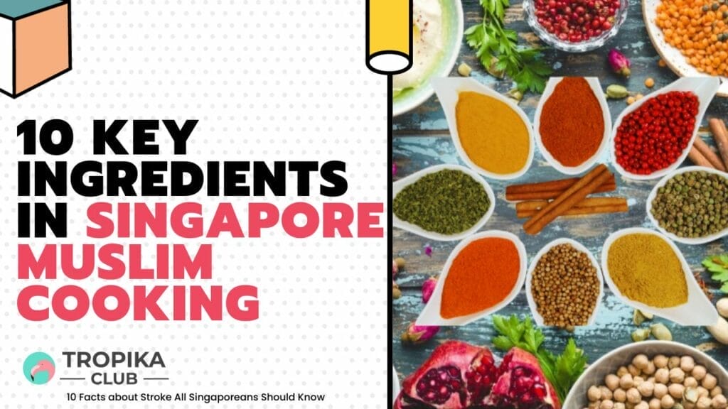 10 Key Ingredients in Singapore Muslim Cooking