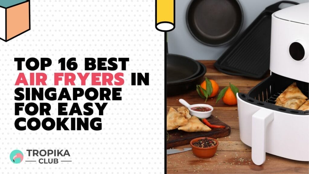 Best Air Fryers in Singapore for Easy Cooking