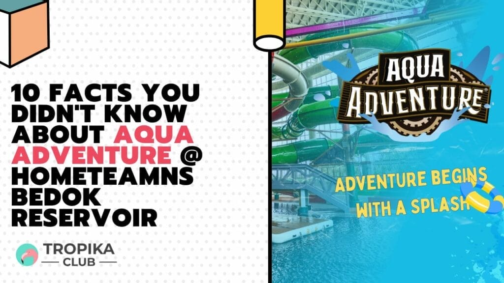 10 Facts You Didn't Know about Aqua Adventure @ HomeTeamNS Bedok Reservoir