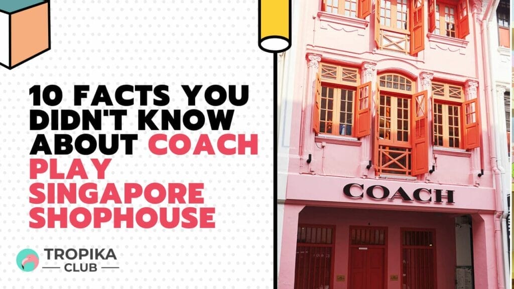 10 Facts You Didn't Know about Coach Play Singapore Shophouse
