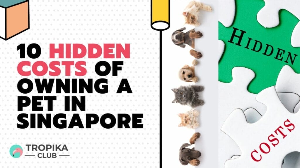 10 Hidden Costs of Owning a Pet in Singapore