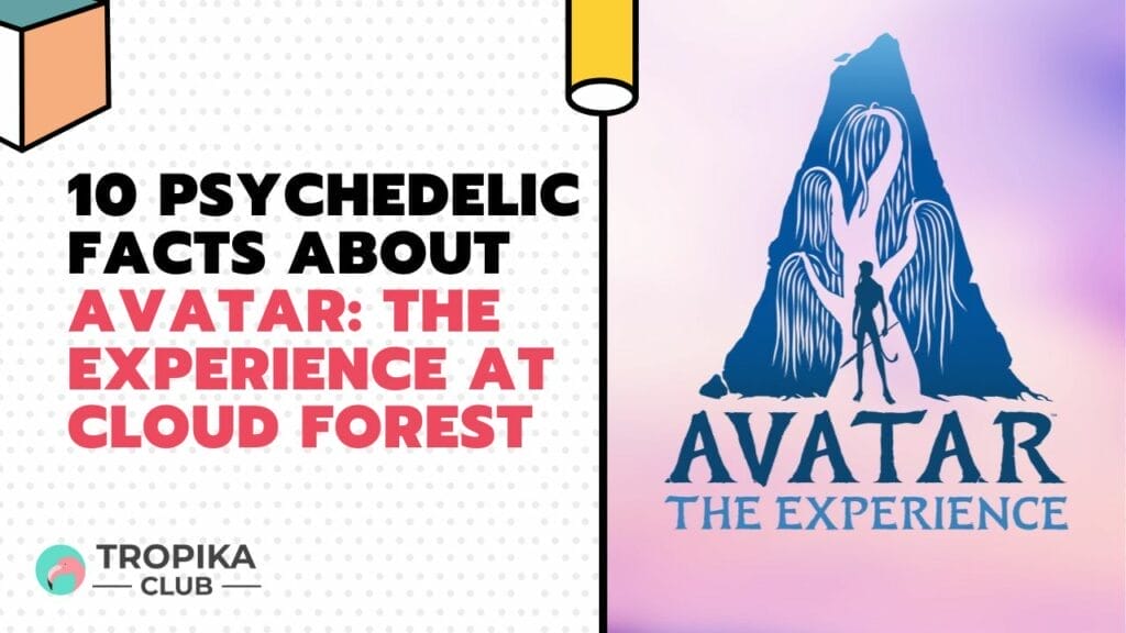 10 Psychedelic Facts about Avatar: The Experience at Cloud Forest