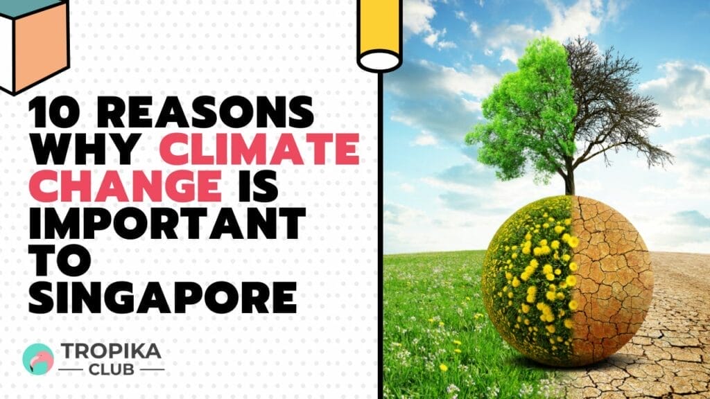 10 Reasons Why Climate Change is Important to Singapore
