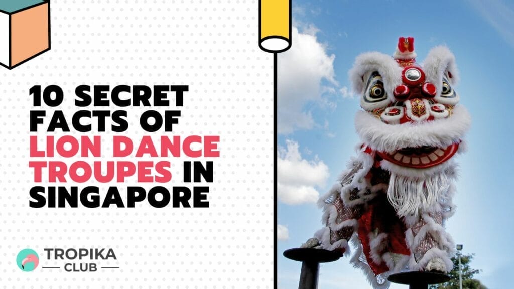10 Secret Facts of Lion Dance Troupes in Singapore
