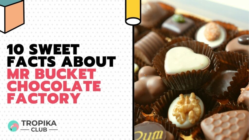 10 Sweet Facts about Mr Bucket Chocolate Factory