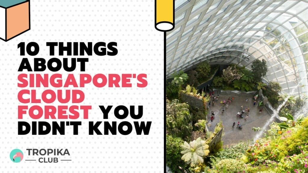 10 Things about Singapore's Cloud Forest You Didn't Know