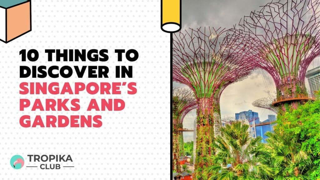 10 Things to Discover in Singapore’s Parks and Gardens