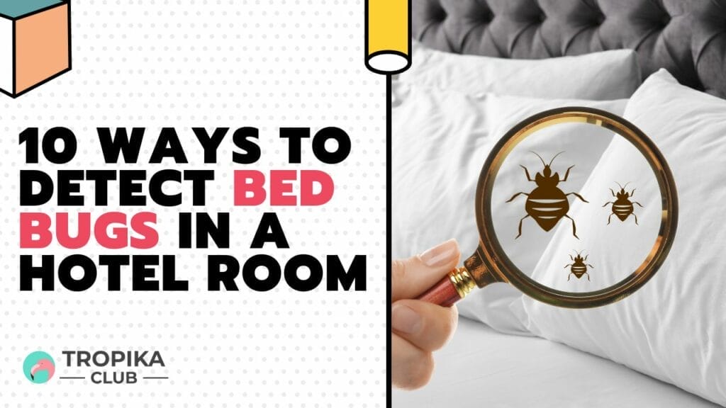 10 Ways to Detect Bed Bugs in a Hotel Room
