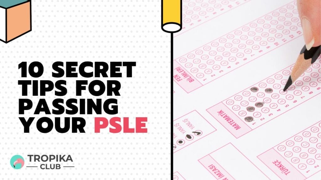 Secret Tips for Passing Your PSLE