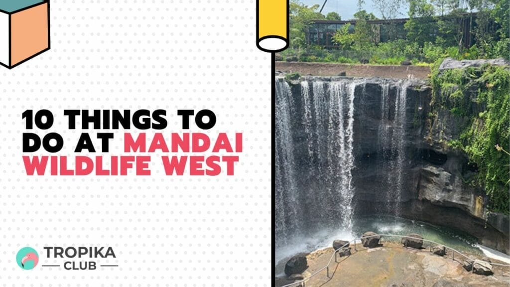 Things to do at Mandai Wildlife West