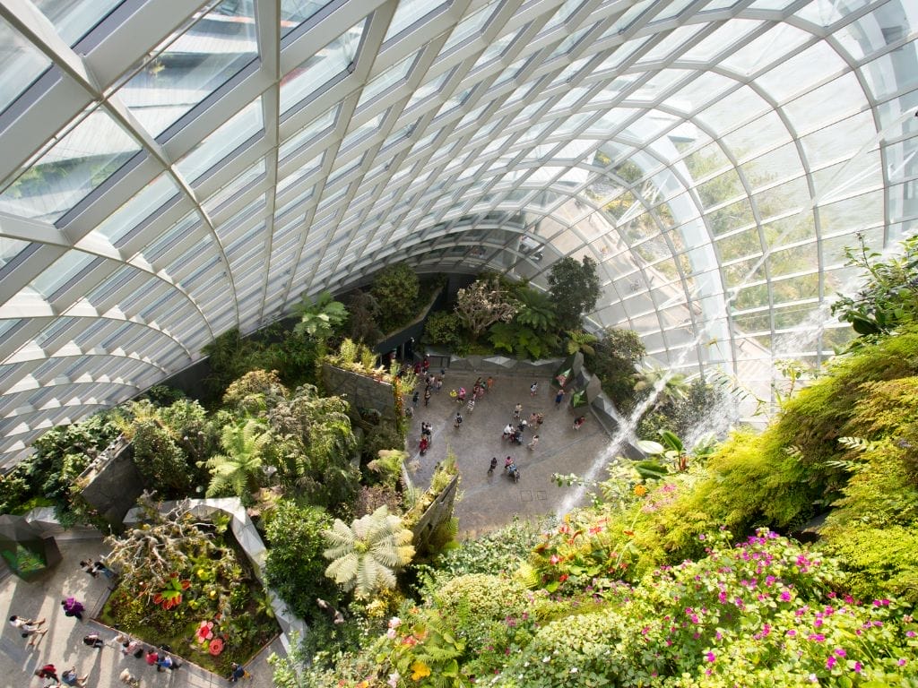 10 Things about Singapore's Cloud Forest You Didn't Know