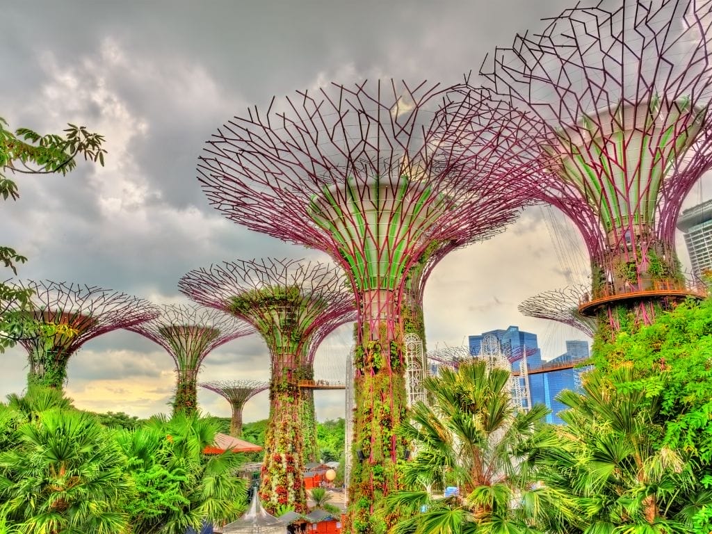10 Things to Discover in Singapore’s Parks and Gardens