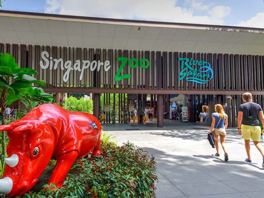 10 Wild Facts about Singapore Zoo - Staycation in the Wild