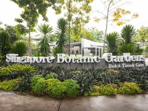 Things to do at Botanic Gardens Singapore