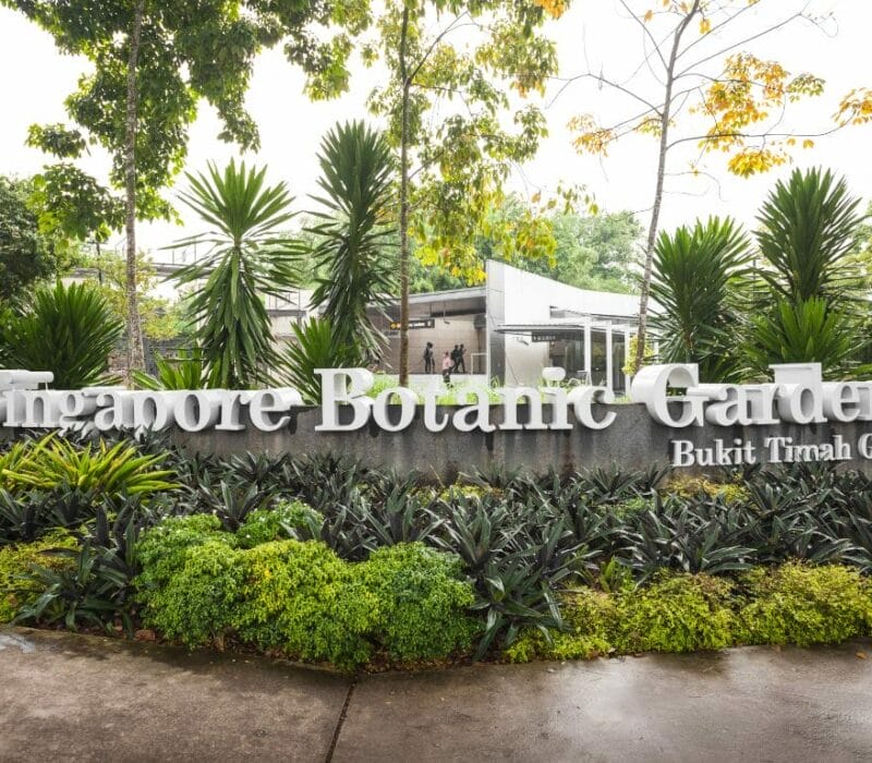 Things to do at Botanic Gardens Singapore