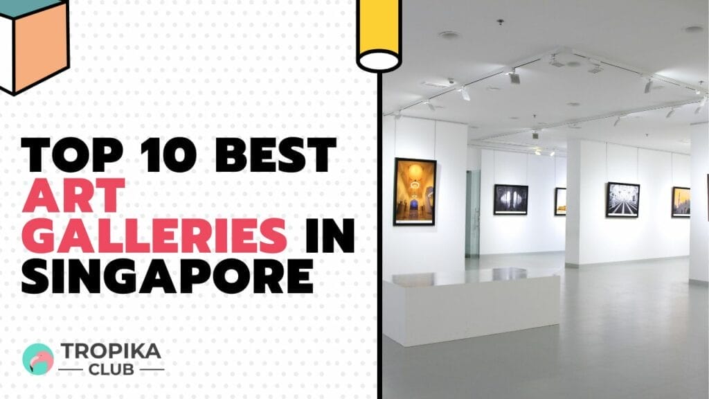 Best Art Galleries in Singapore